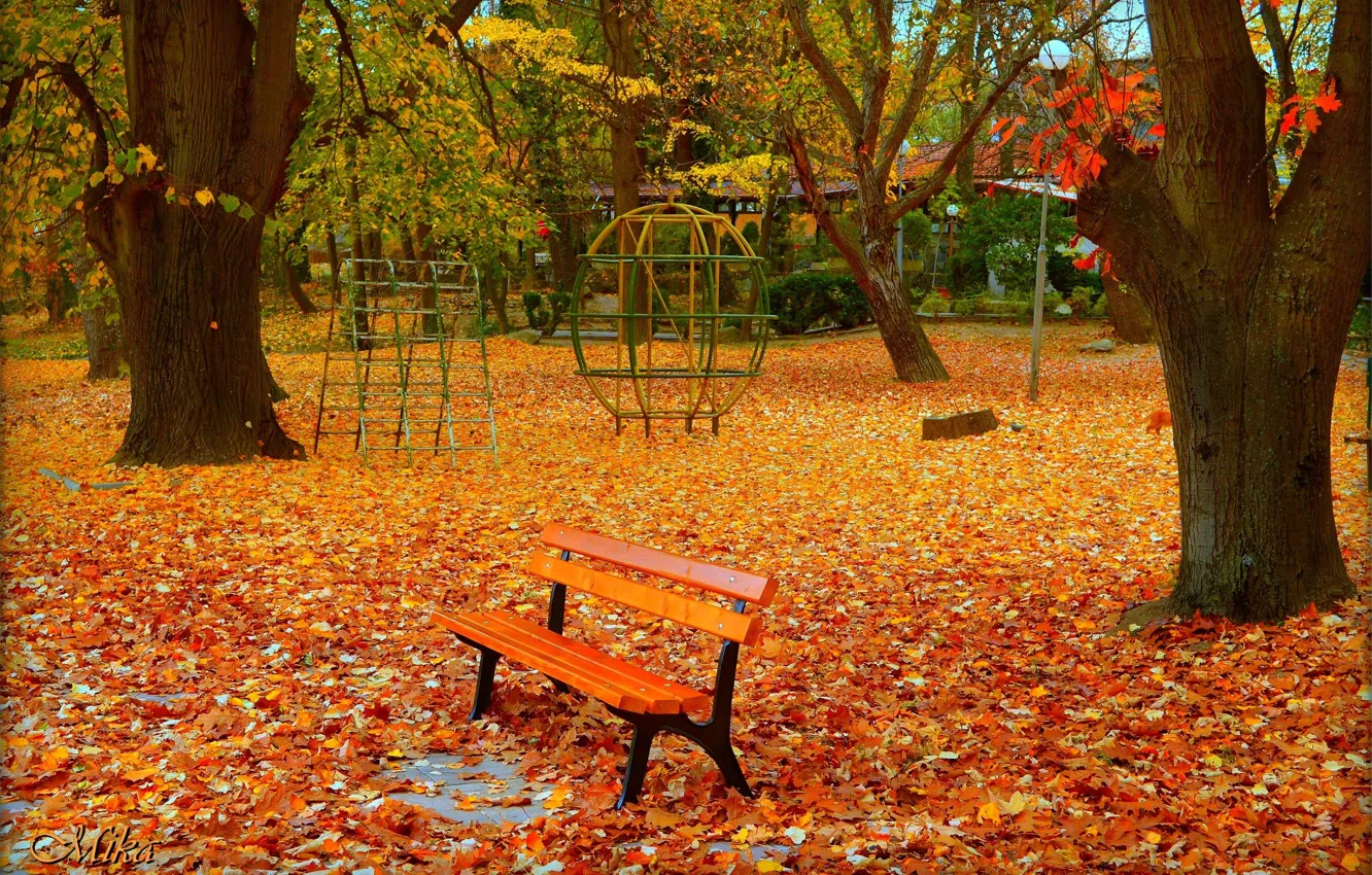 Фото обои Осень, Скамейка, Парк, Fall, Листва, Park, Autumn, Colors