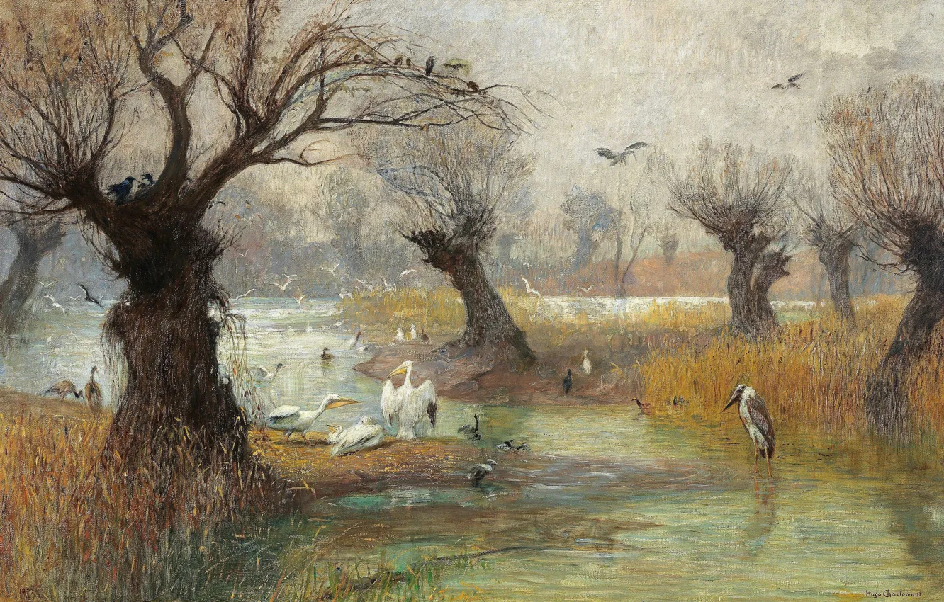 Фото обои Austrian painter, oil on canvas, Пеликаны на берегу реки, Гуго Шарлемон, Pelicans on the Riverbank, …