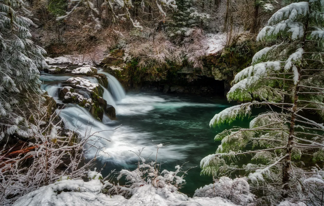 Фото обои зима, иней, лес, снег, природа, река