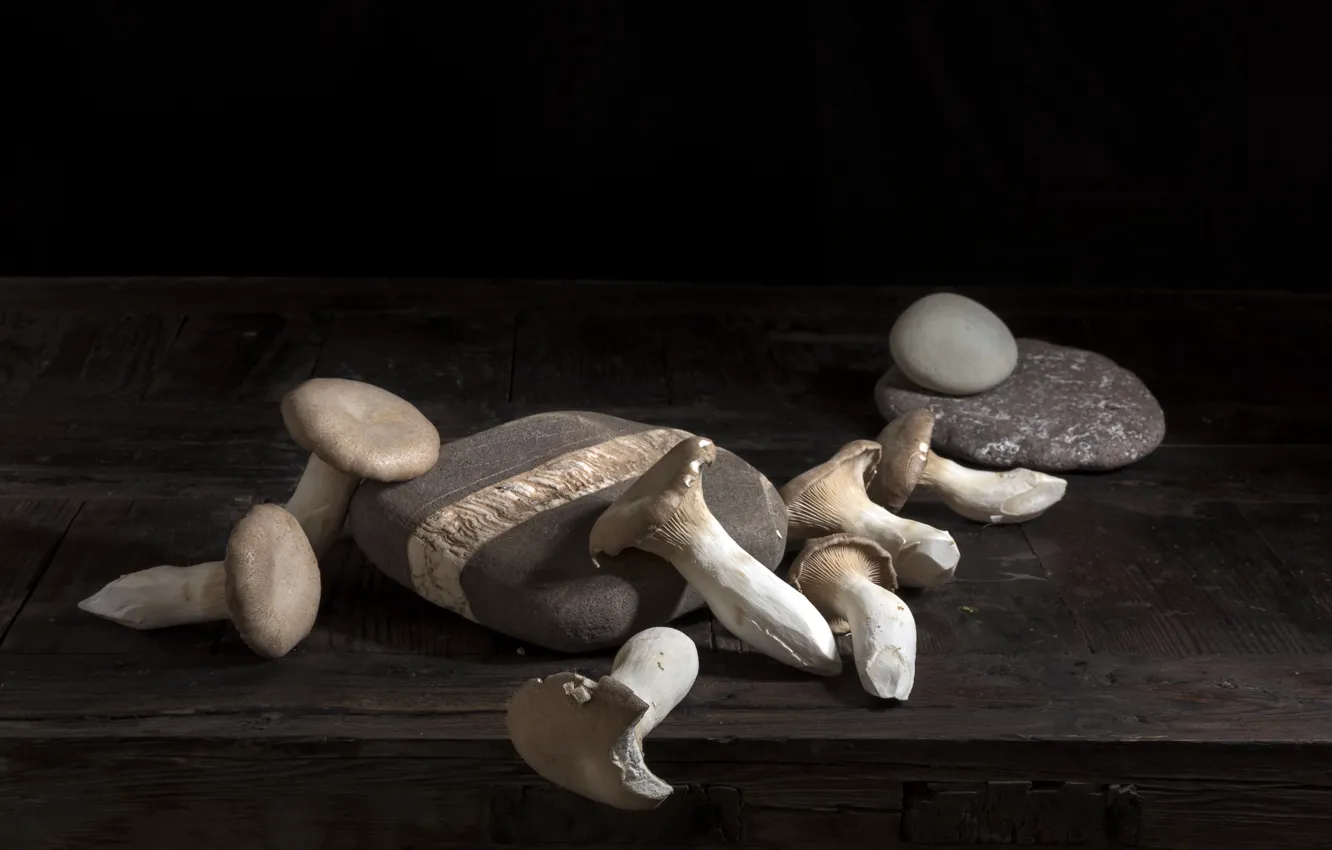 Фото обои камни, грибы, еда