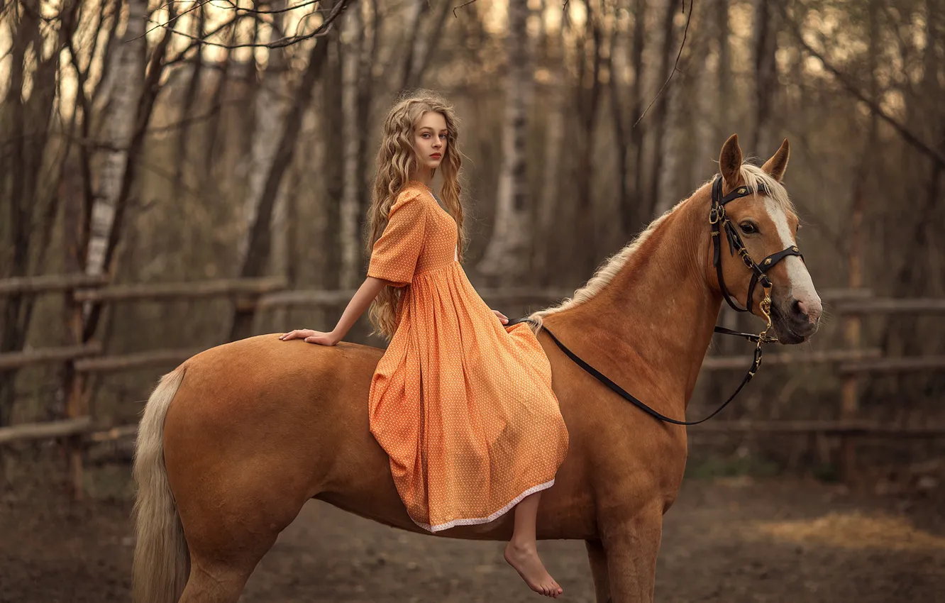 Фото обои конь, лошадь, девочка, сидит, длинноволосая, русая