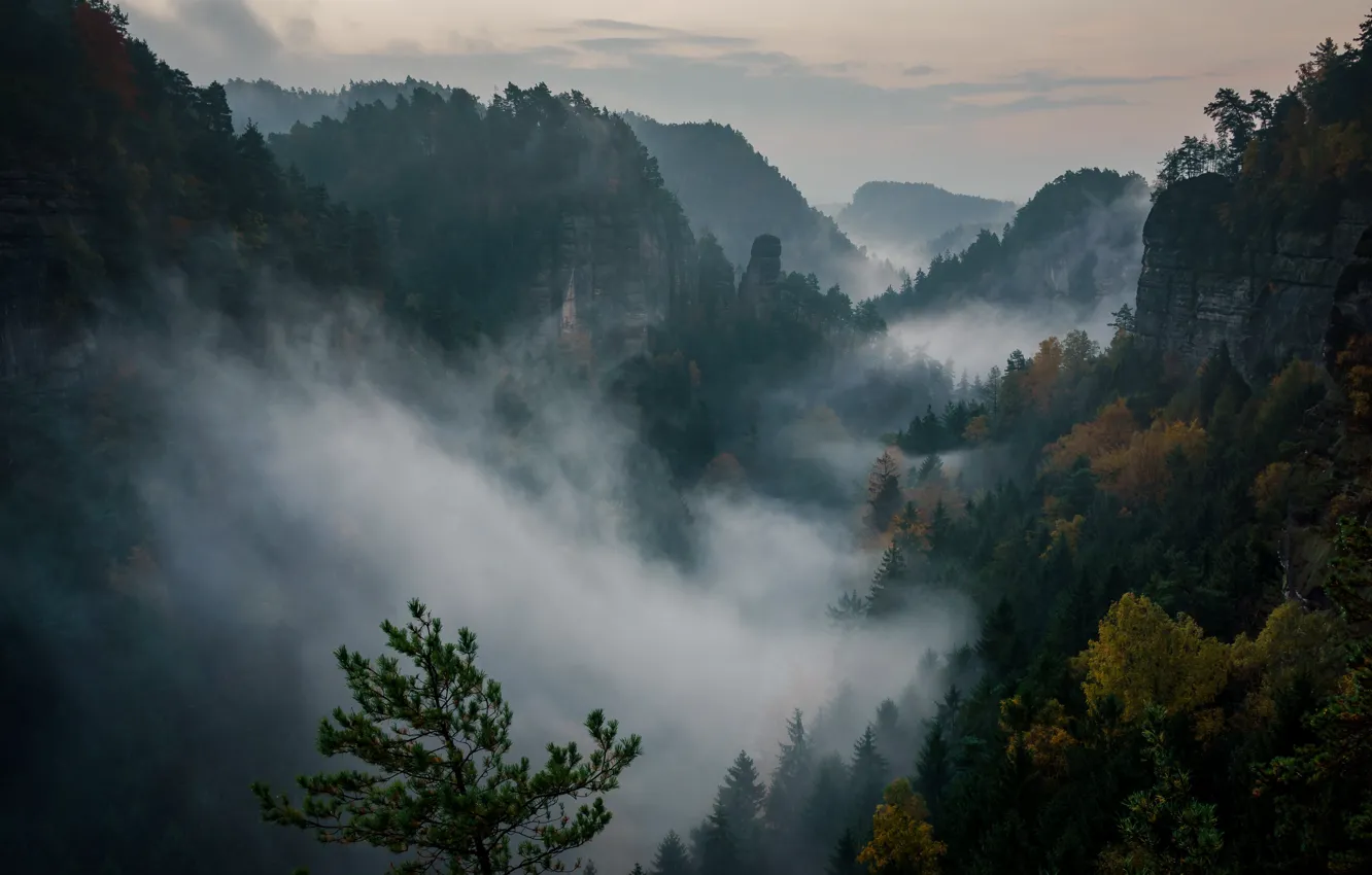Фото обои лес, небо, облака, деревья, закат, горы, природа, скалы, вечер, Швейцария, дымка