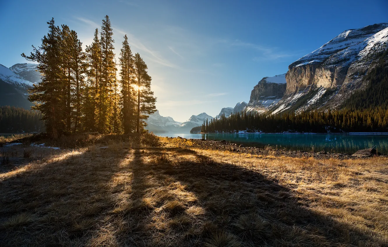 Фото обои деревья, пейзаж, горы, природа, озеро, берег, ели, Канада, тени, Альберта, Jasper, леса, национальный парк