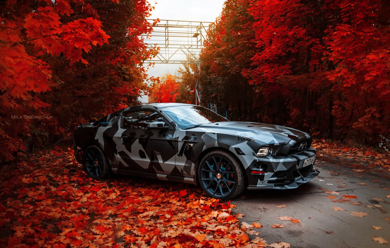 Фото обои Mustang, Осень, Листья, Красные, Skyline, Future, True Car