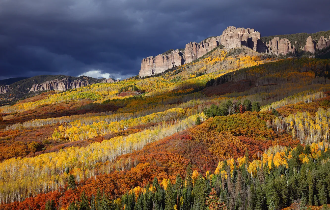 Фото обои осень, лес, яркие краски, горы, тучи, скалы, вершины, США, Сан Хуан, живописный вид, национальный лес, …