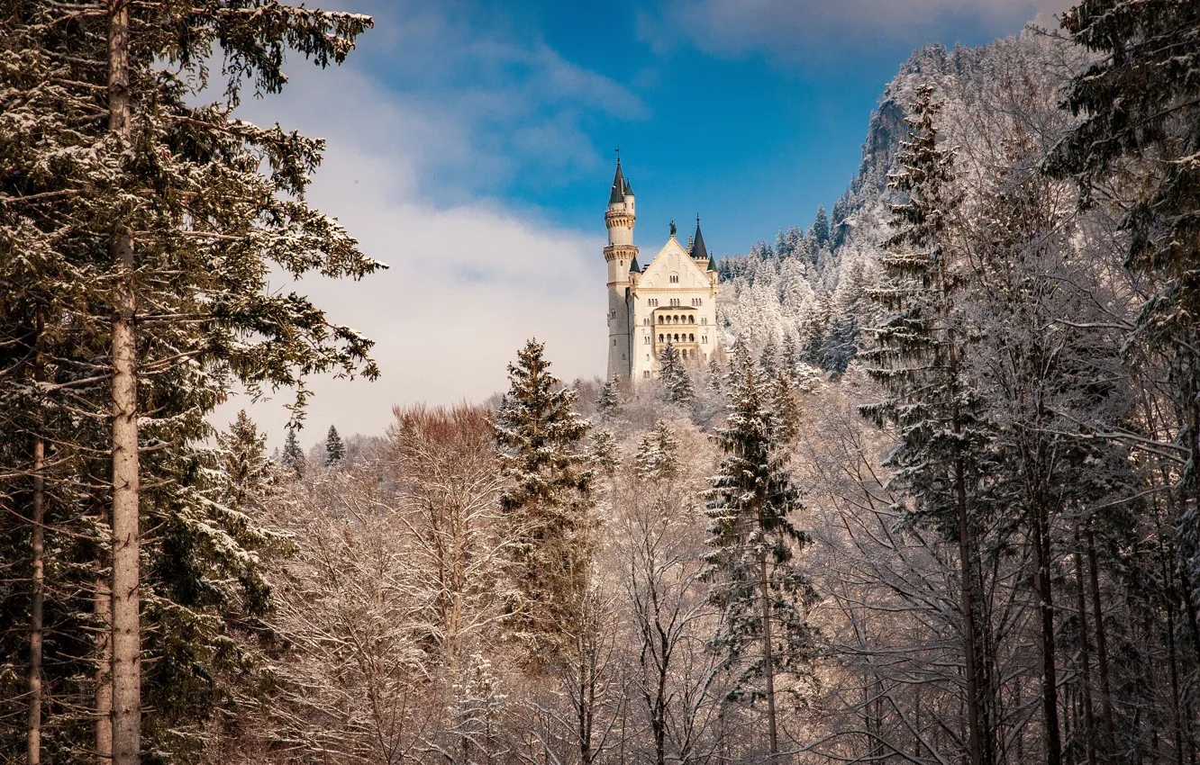 Фото обои зима, лес, деревья, замок, Германия, Бавария, Germany, Bavaria, Neuschwanstein Castle, Замок Нойшванштайн, Schwangau, Швангау