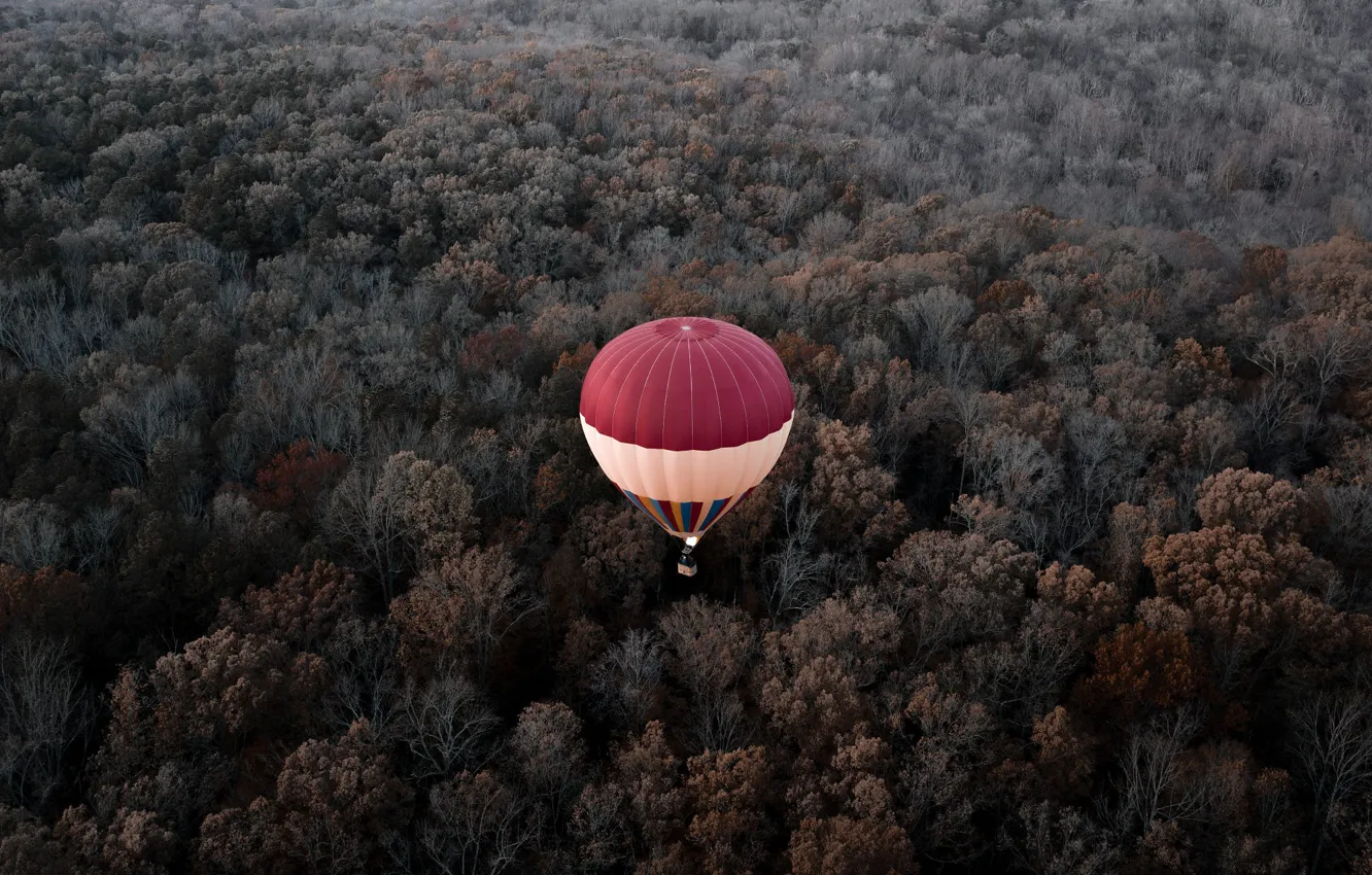 Фото обои осень, лес, полет, воздушный шар, высота, Вирджиния, США, Америка