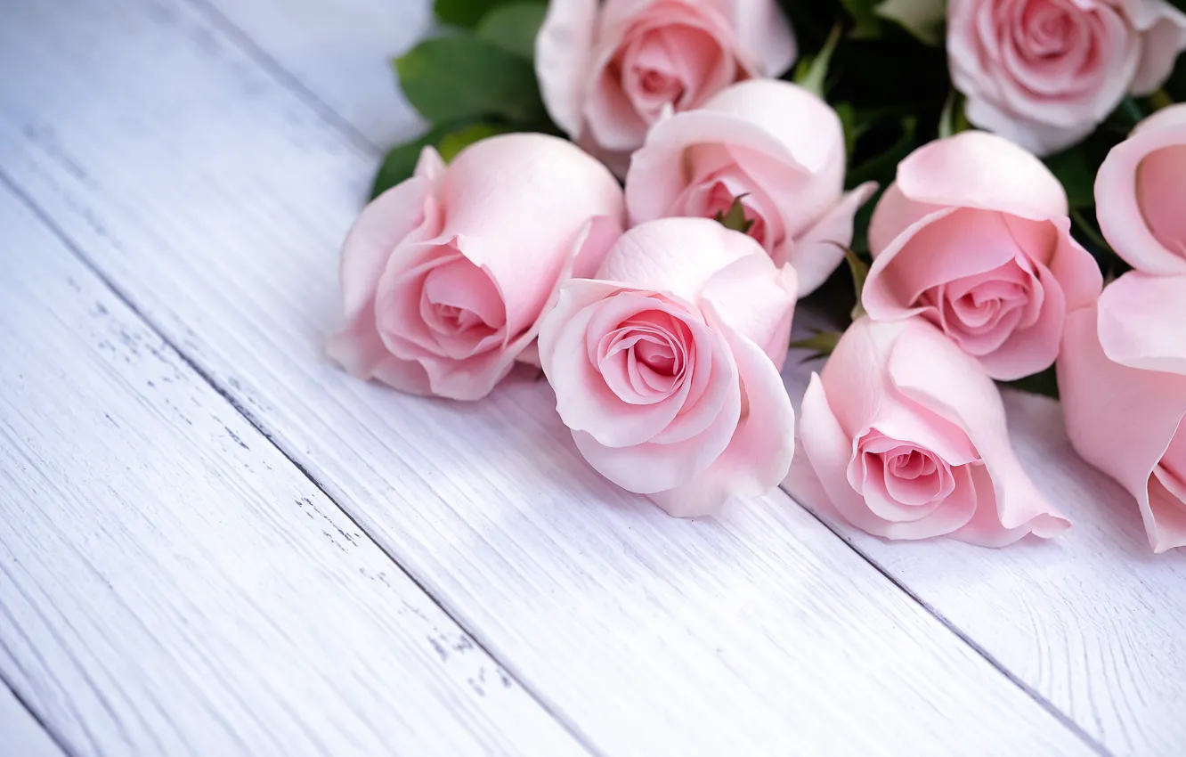 Фото обои цветы, розы, букет, розовые, wood, pink, flowers, beautiful, roses