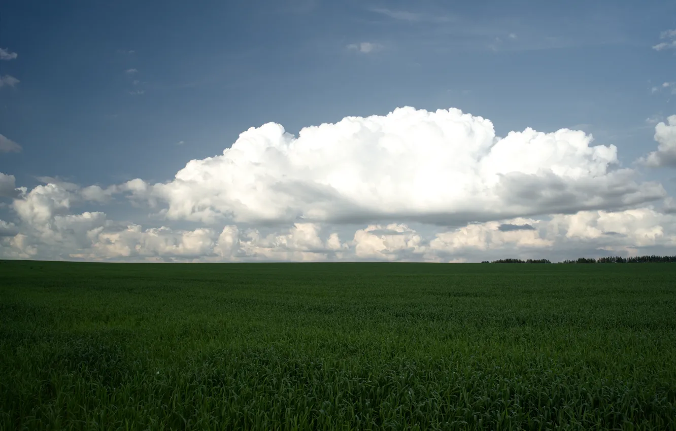 Фото обои поле, небо, трава, облака, пейзаж, природа, просторы