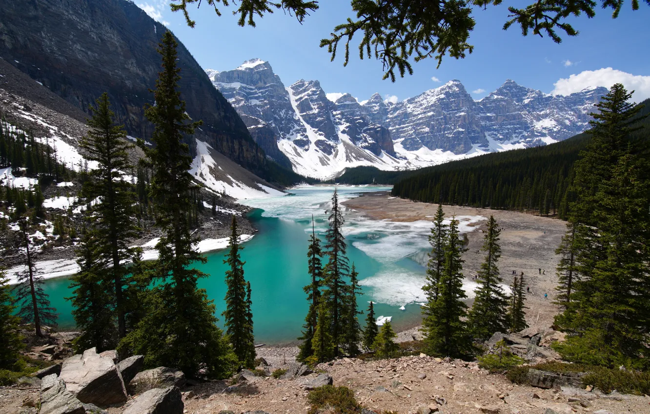 Фото обои лес, горы, озеро, лёд, ели, Канада, Альберта, Banff National Park, Alberta, Canada, Moraine Lake, Valley …