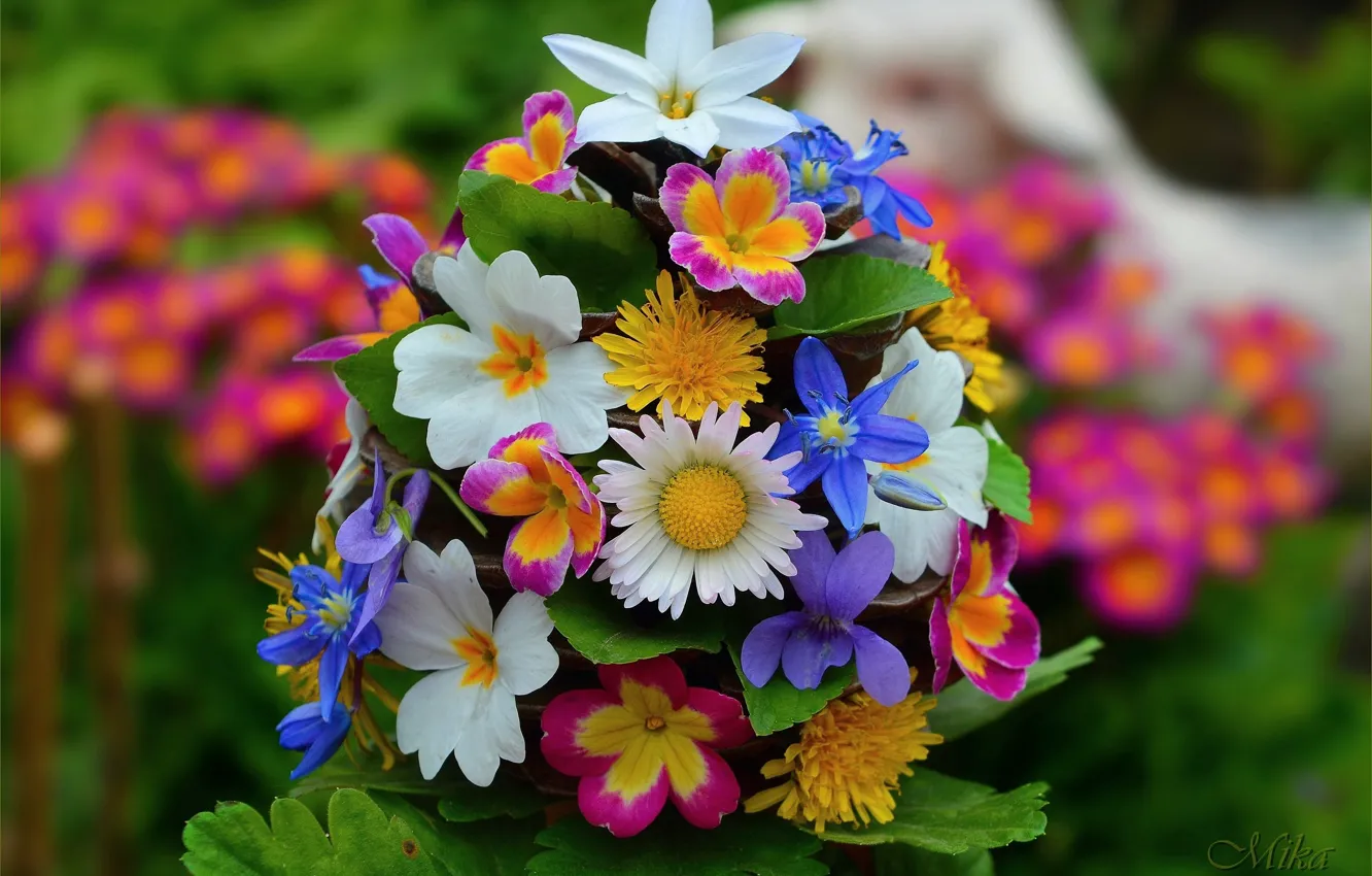 Фото обои Цветы, Букет, Flowers, Bouquet