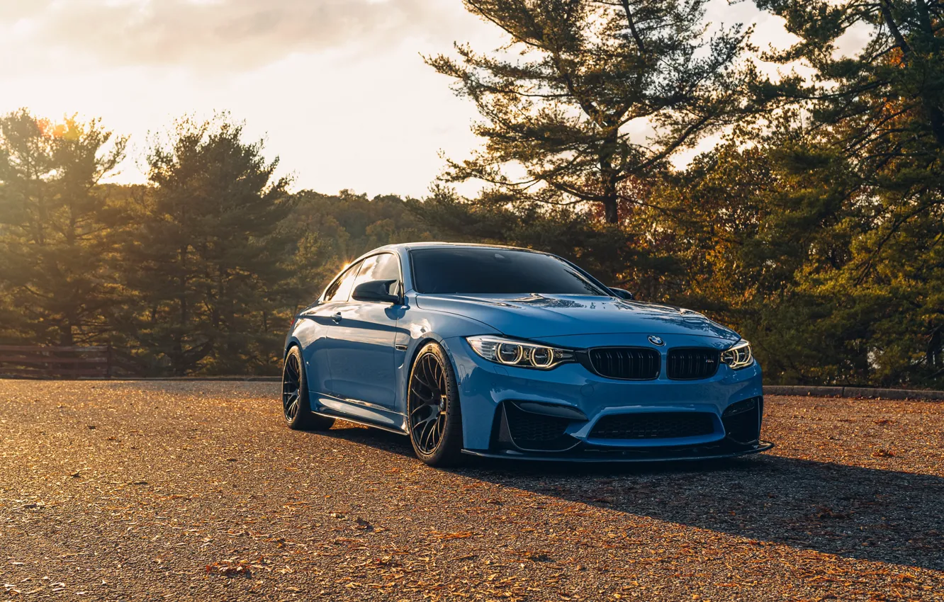 Фото обои BMW, Blue, Coupe, Autumn, Sight, F84