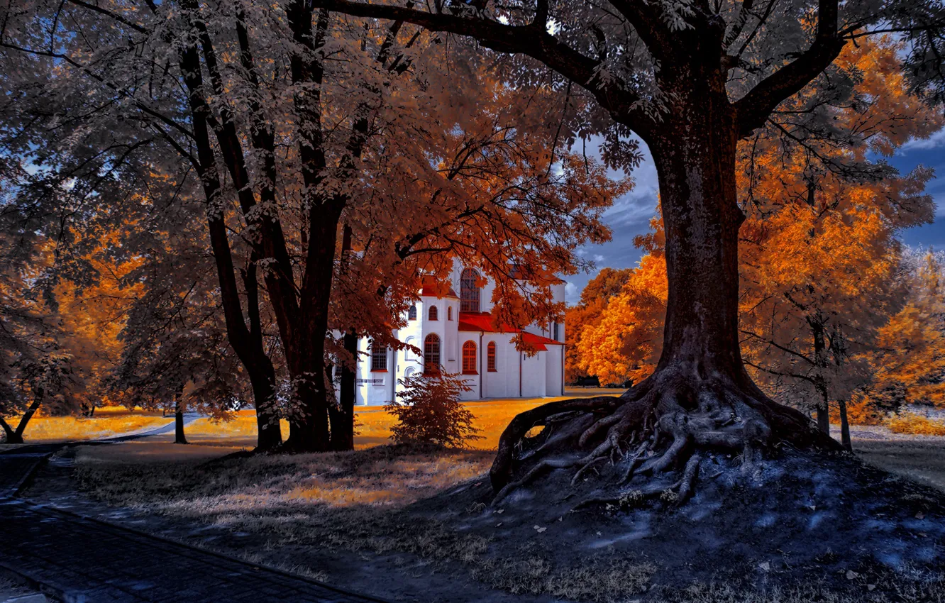 Фото обои осень, деревья, пейзаж, природа, обработка, храм