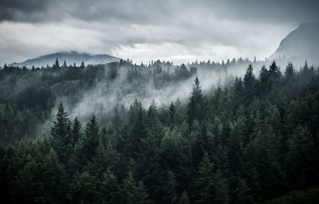 Фото обои лес, небо, деревья, горы, тучи, природа, Шотландия