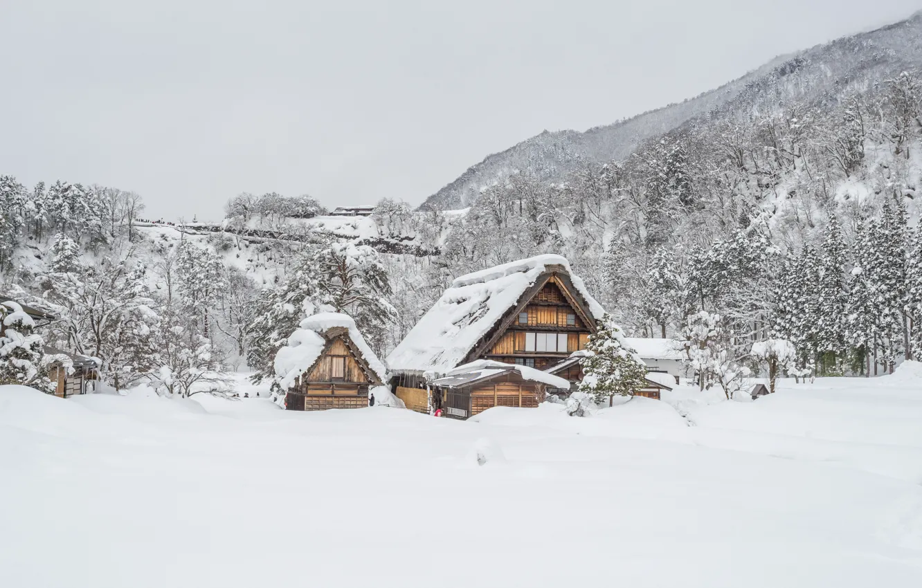 Фото обои зима, снег, деревья, пейзаж, природа, зимний, домик, house, хижина, landscape, nature, beautiful, winter, snow