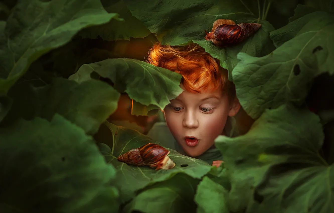 Фото обои листья, лицо, удивление, улитки, мальчик, рыжий, рыжеволосый, Любовь Пятовская