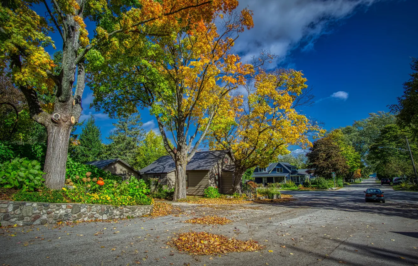 Фото обои дорога, осень, небо, листья, солнце, облака, деревья, машины, улица, дома, США, жёлтые, Michigan, Northport