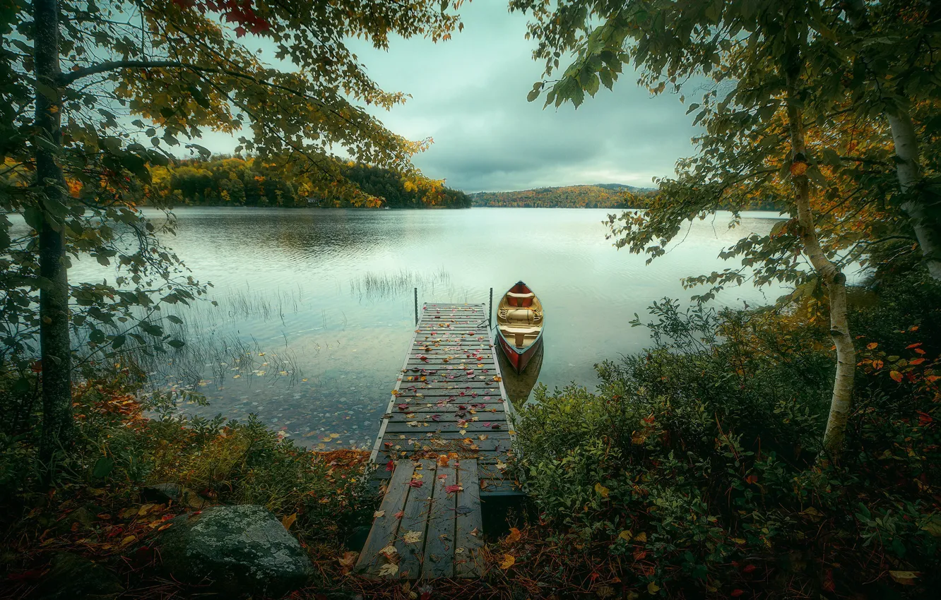 Фото обои осень, деревья, озеро, лодка, Канада, Онтарио, Canada, Ontario