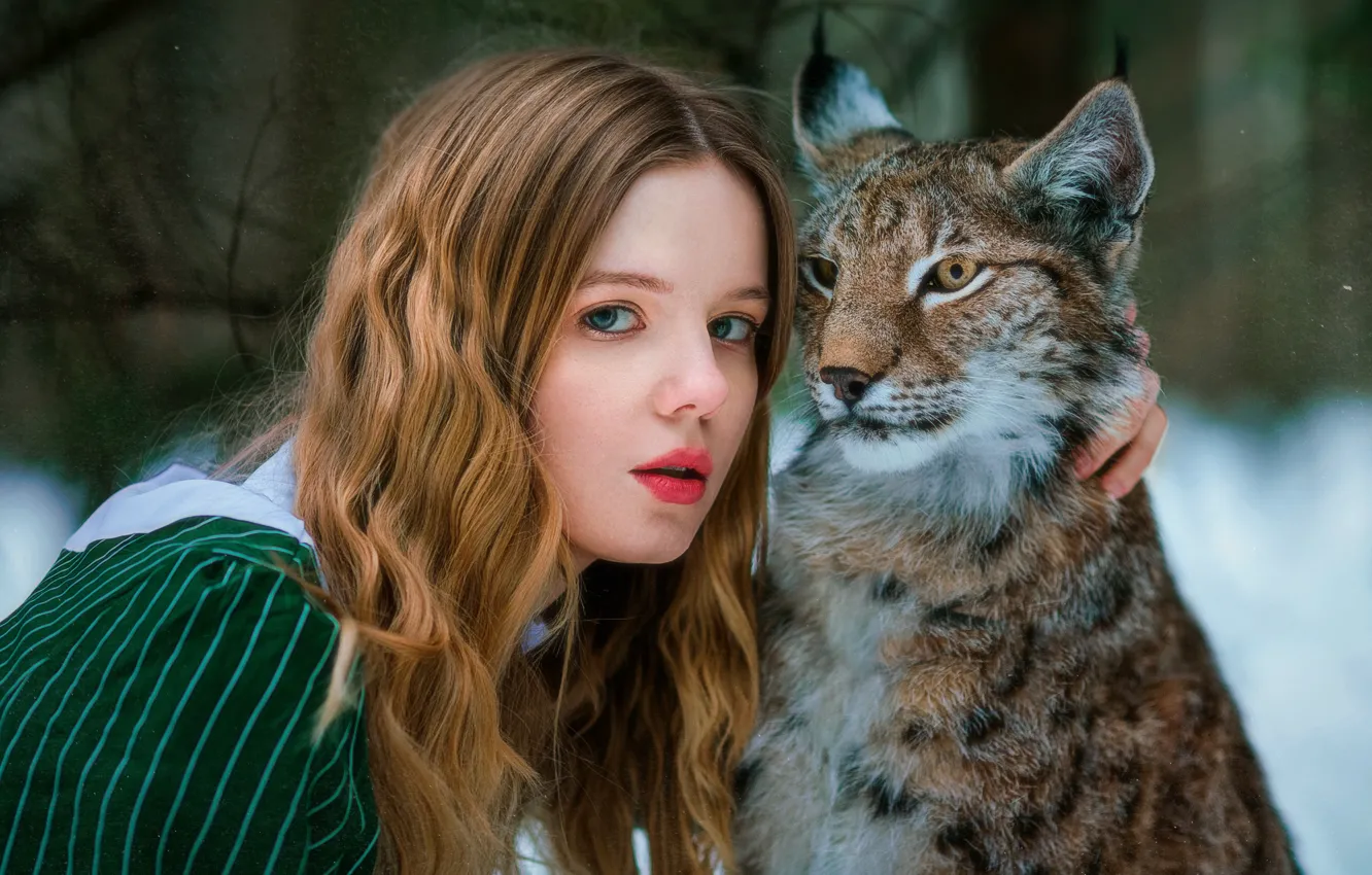 Фото обои взгляд, девушка, лицо, рысь, друзья, дикая кошка, длинные волосы, Александра Савенкова