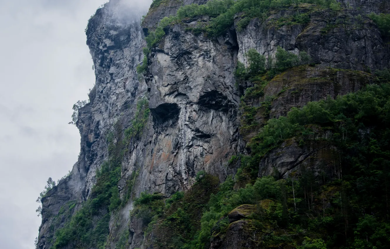 Фото обои небо, деревья, природа, туман, скала, пасмурно, силуэт, Норвегия, Geiranger