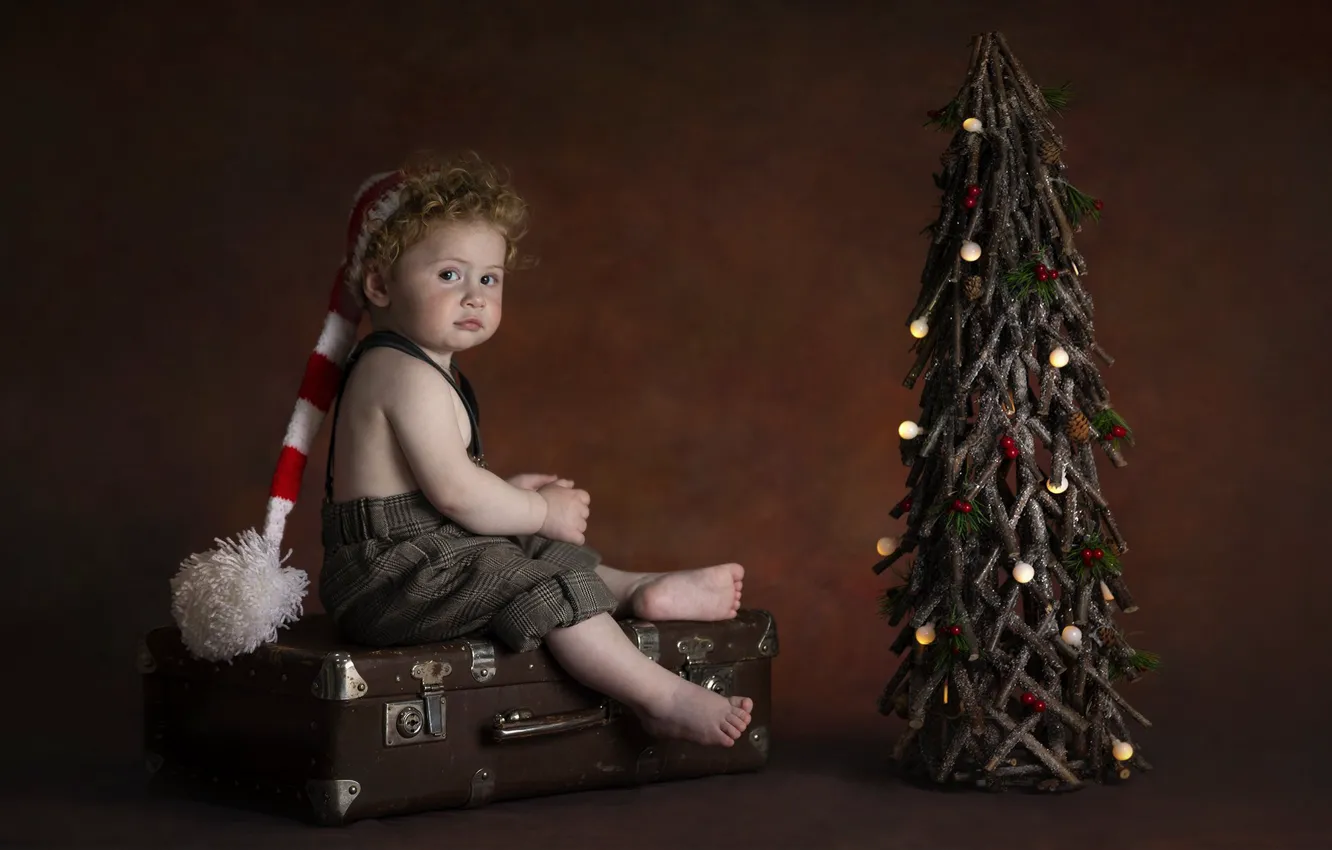 Фото обои взгляд, праздник, новый год, босиком, мальчик, малыш, чемодан, ёлка, ребёнок, колпак, штанишки, босой, Chakhvadze Bessarion