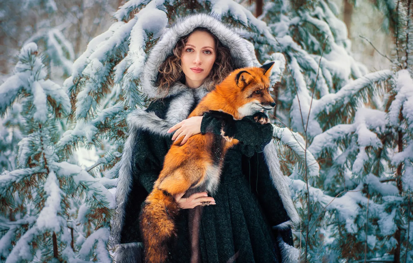 Фото обои зима, лес, взгляд, девушка, снег, лиса, капюшон, рыжая, Елена, на природе, Александра Савенкова