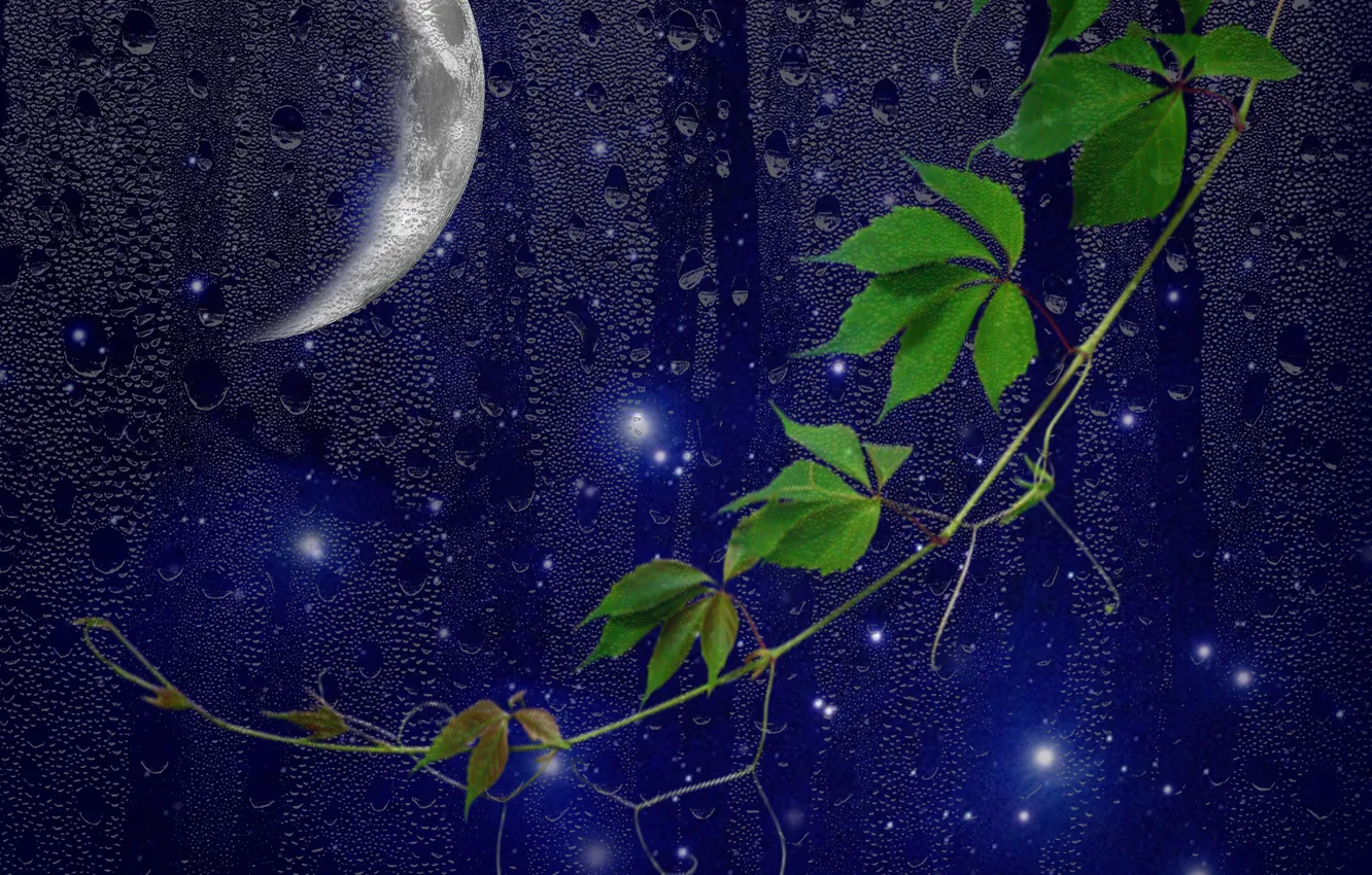 Фото обои moon, night, window, drops, darkness
