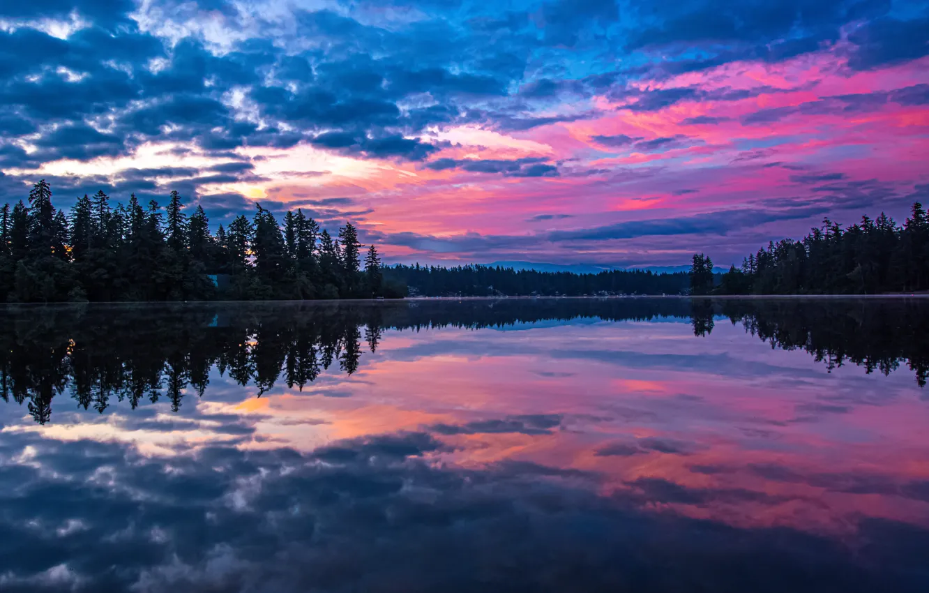 Фото обои лес, небо, озеро, отражение, рассвет, утро, Washington State, Штат Вашингтон, Lake Sawyer, Озеро Сойер