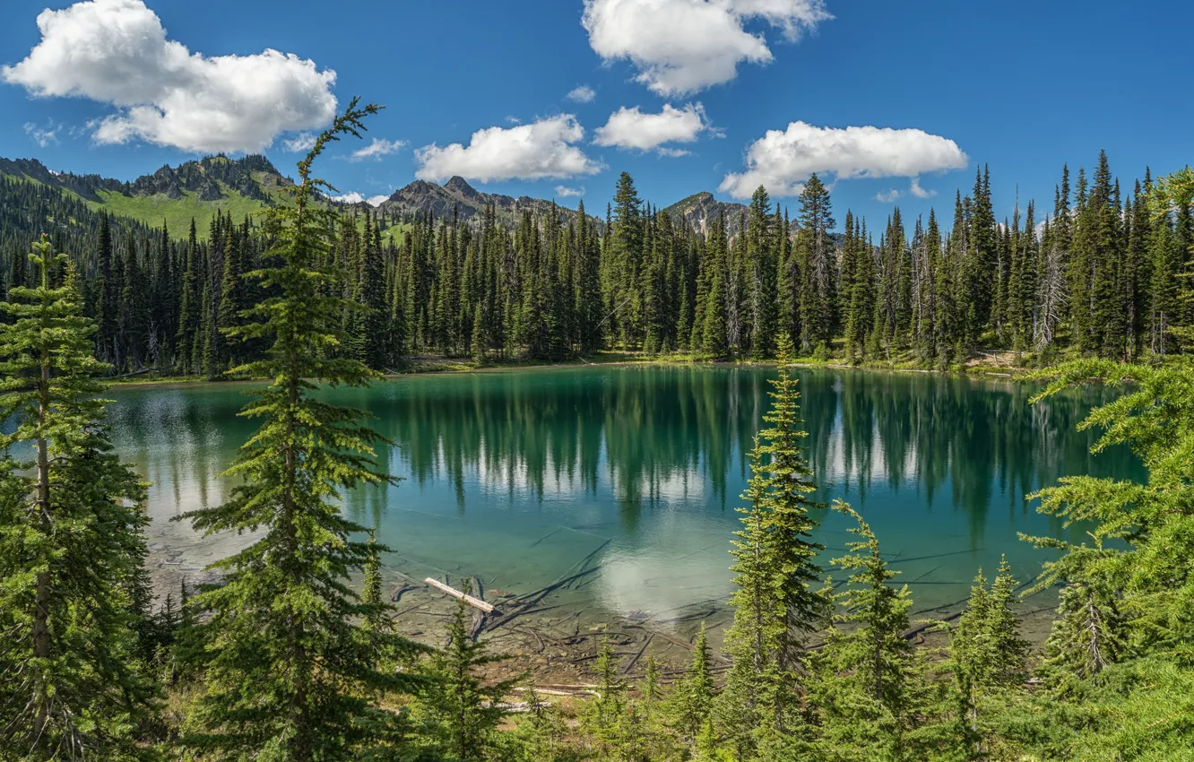 Фото обои лес, горы, озеро, ели, штат Вашингтон, Mount Rainier National Park, Национальный парк Маунт-Рейнир, Каскадные горы, …