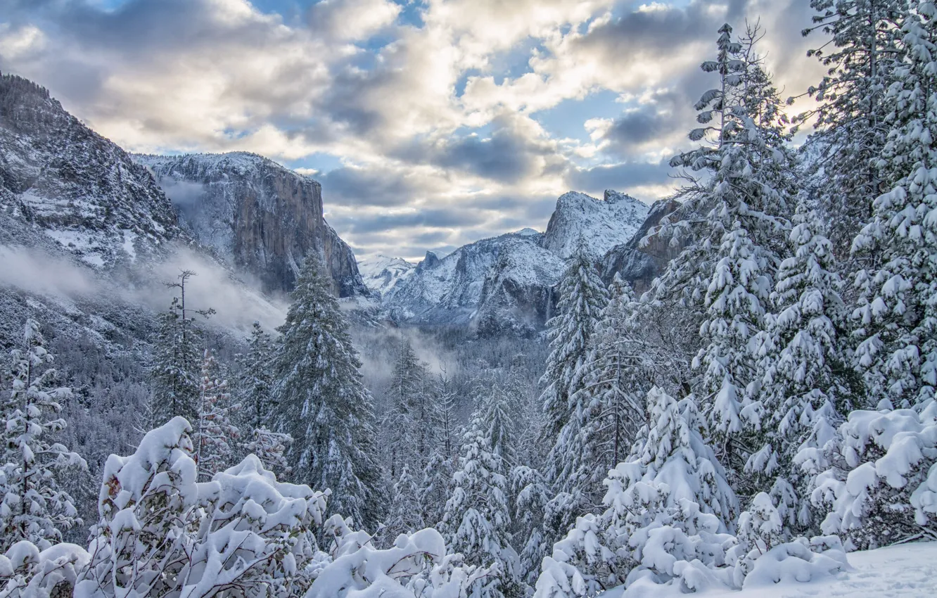 Фото обои зима, лес, снег, деревья, горы, ели, Калифорния, California, Yosemite Valley, Yosemite National Park, Сьерра-Невада, Долина …