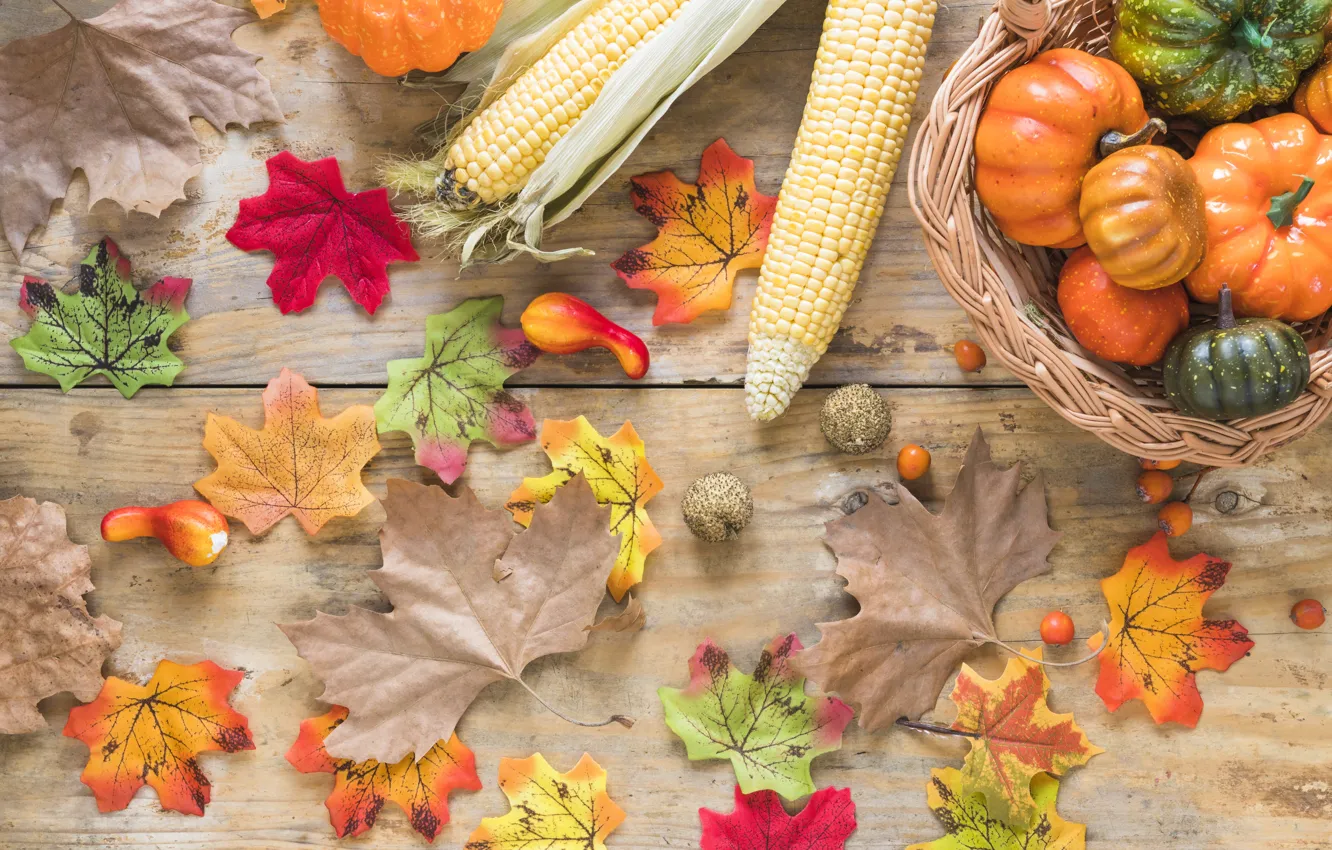 Фото обои осень, листья, фон, доски, colorful, тыква, клен, wood, background, autumn, leaves, осенние, pumpkin, maple