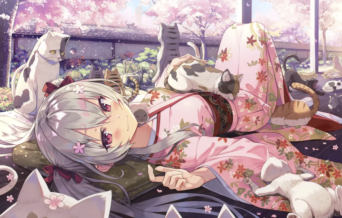 Фото обои кошки, девочка, котята, кимоно, много, лежит на спине, в саду, длинные белые волосы, цветение сакуры, …