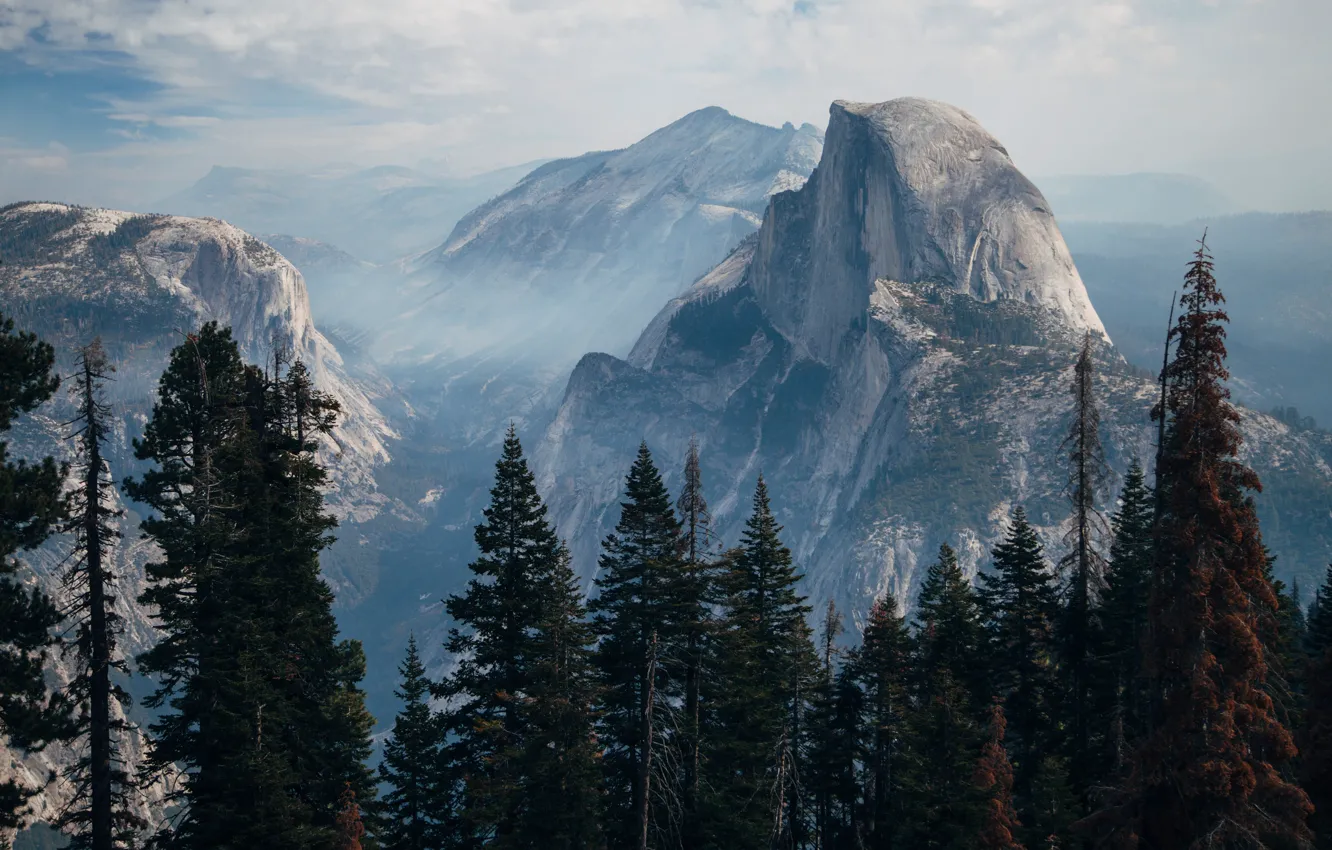 Фото обои USA, forest, trees, landscape, nature, Yosemite Valley, mountains, rocks, mist, Yosemite National Park, United States …