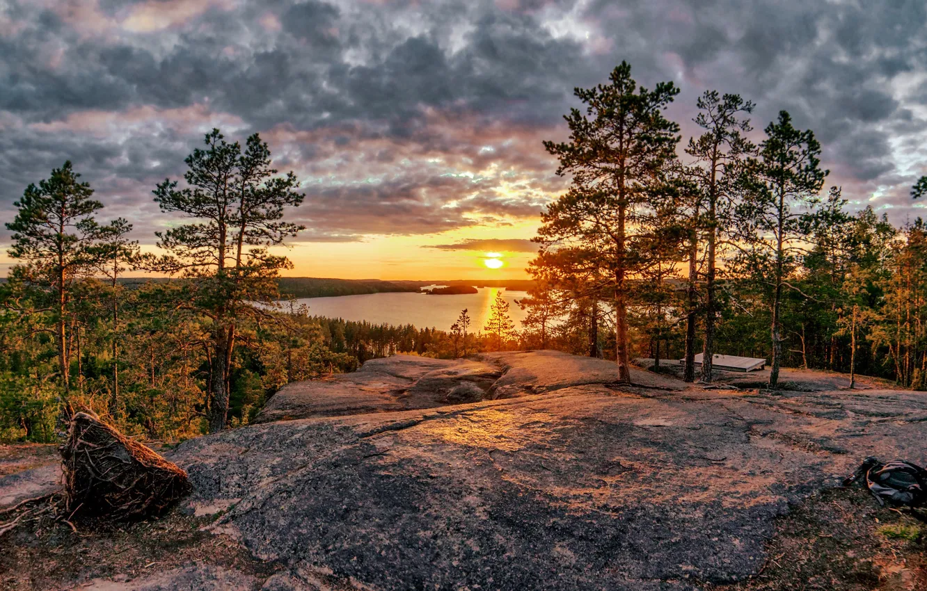 Фото обои лес, деревья, закат, озеро, сосны, Финляндия, Finland, Lake Kirkkojärvi