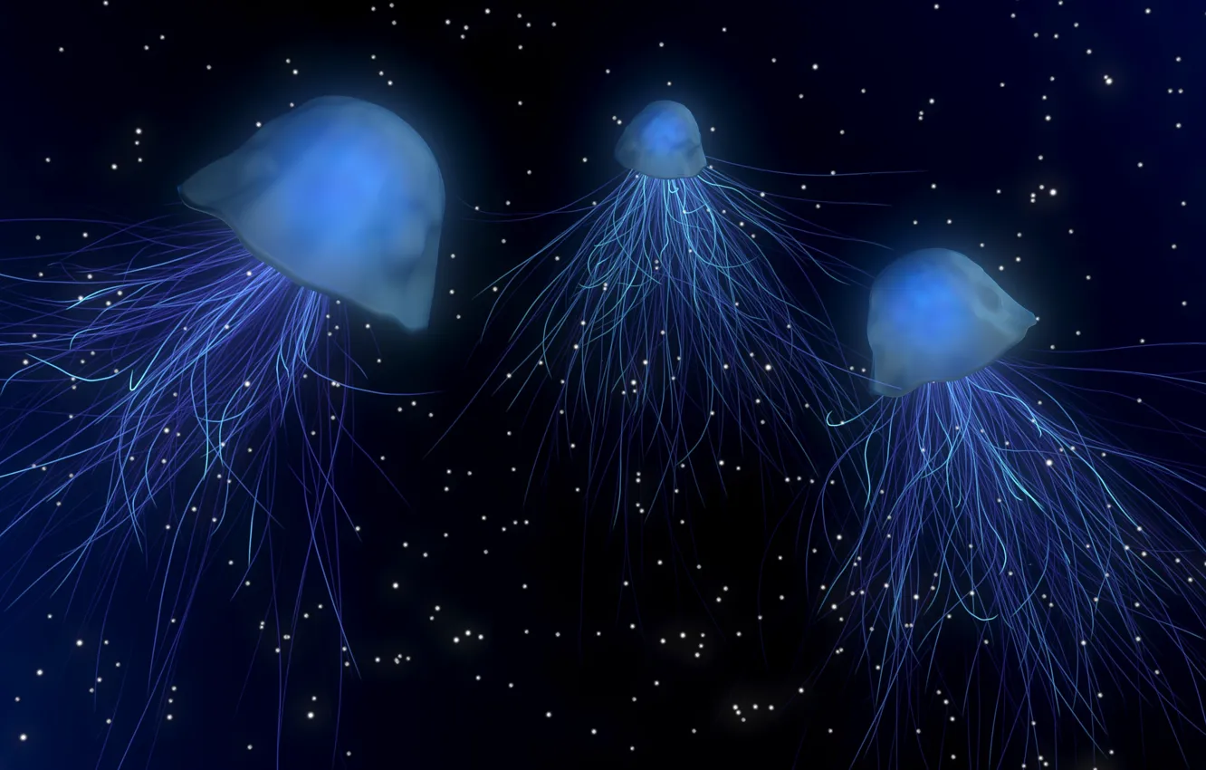 Фото обои море, глубина, медузы
