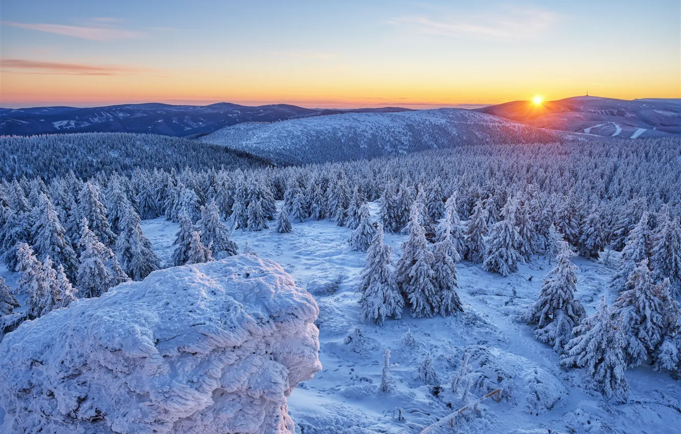 Фото обои зима, лес, снег, горы, восход, рассвет, холмы, утро, ели, Чехия, Czech Republic, Olomouc Region, Оломоуцкий …