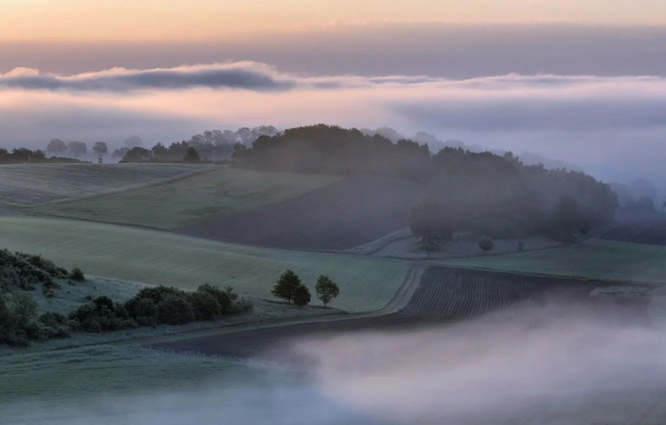 Фото обои Rheinland-Pfalz, Oberbergweiler, Landkreis Bernkastel-Wittlich, morning in the valley