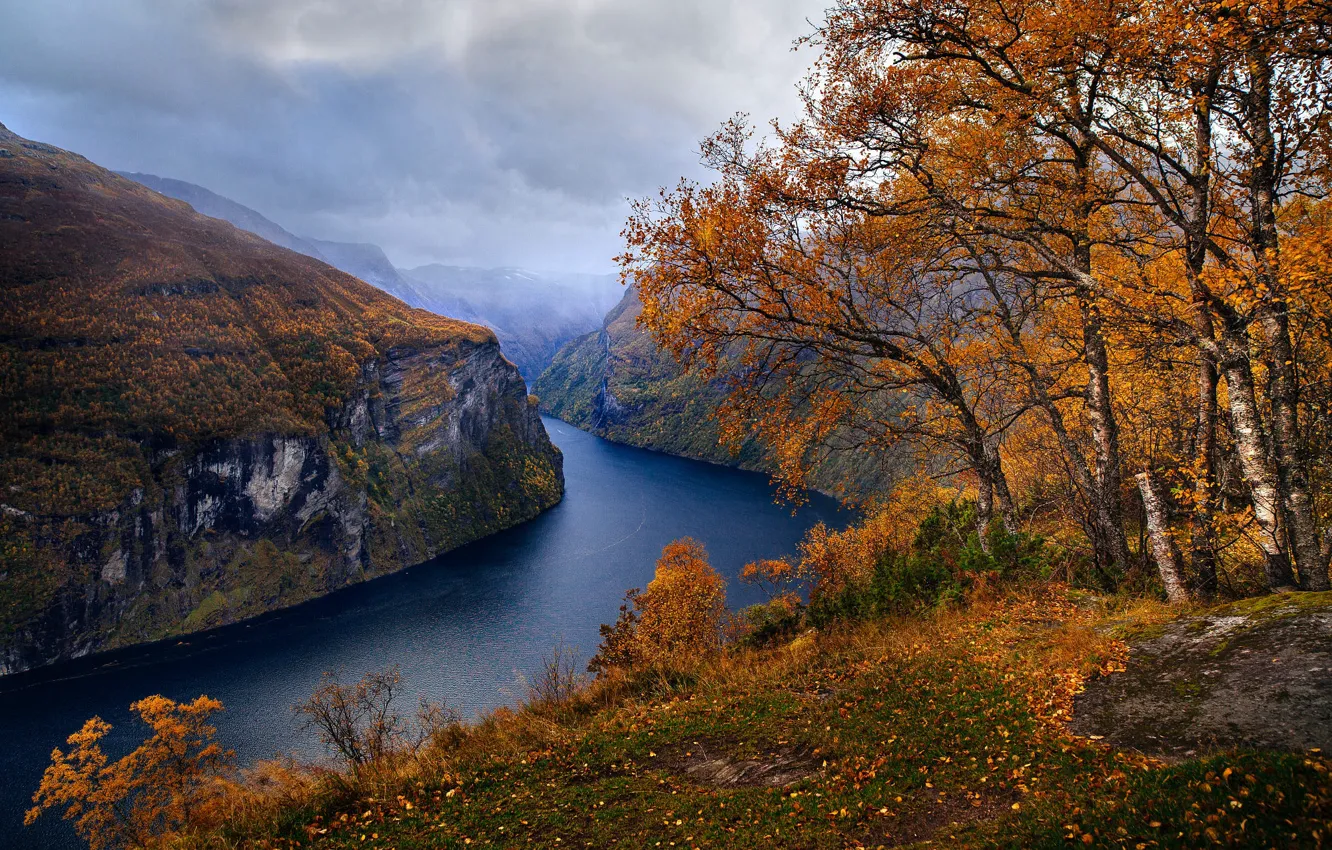 Фото обои осень, деревья, пейзаж, тучи, природа, скалы, Норвегия, фьорд