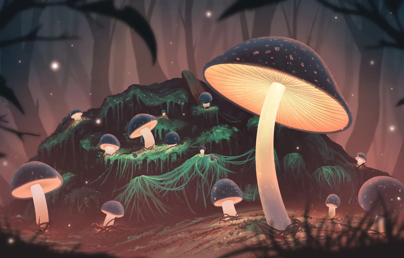 Фото обои лес, ночь, грибы, свечение, арт