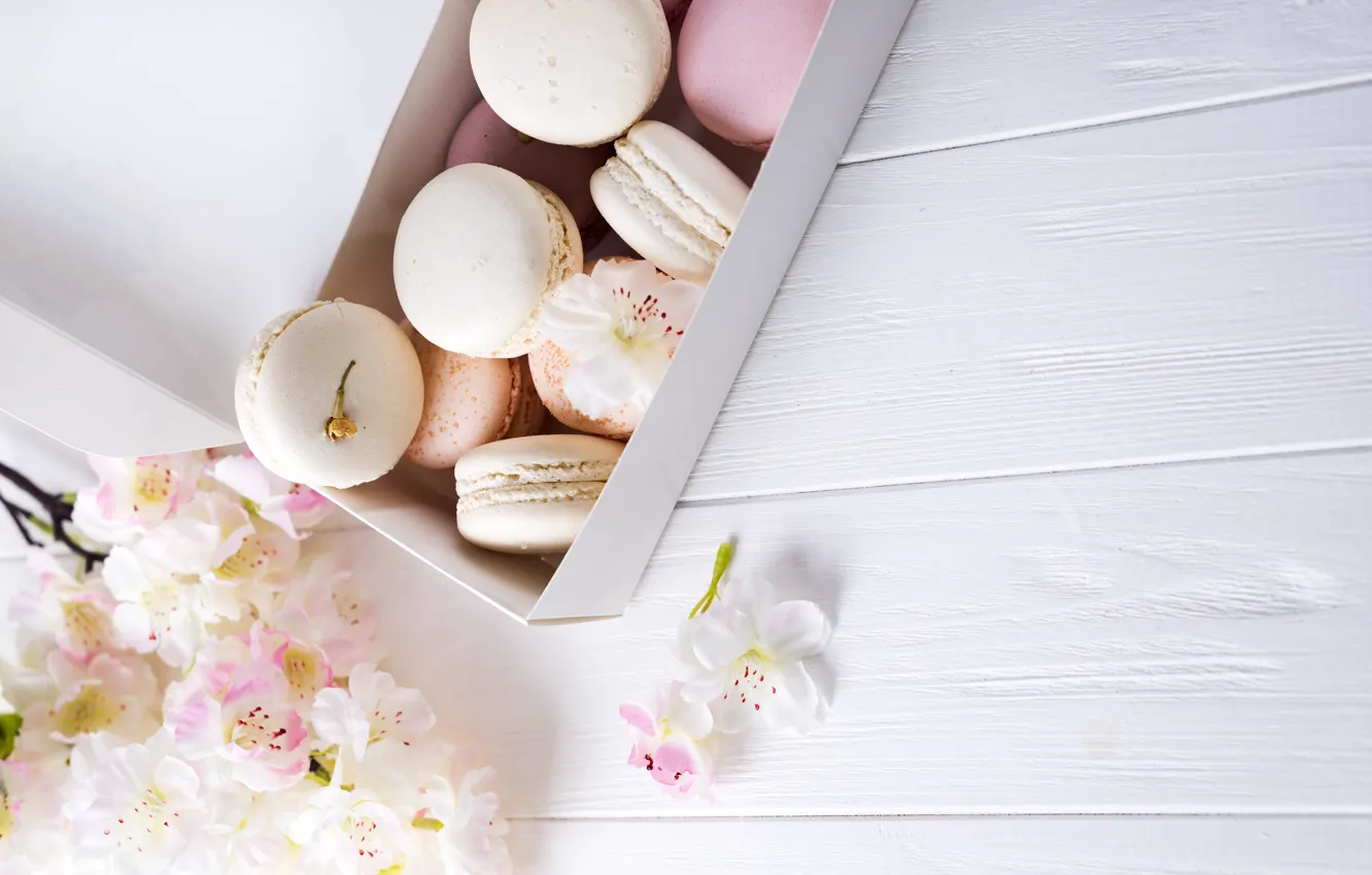 Фото обои white, pink, flowers, french, macaron, pastel, макаруны