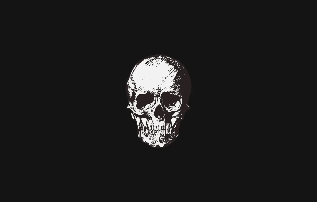 Фото обои simple, череп, минимализм, skull, черный фон, minimalism, Black background