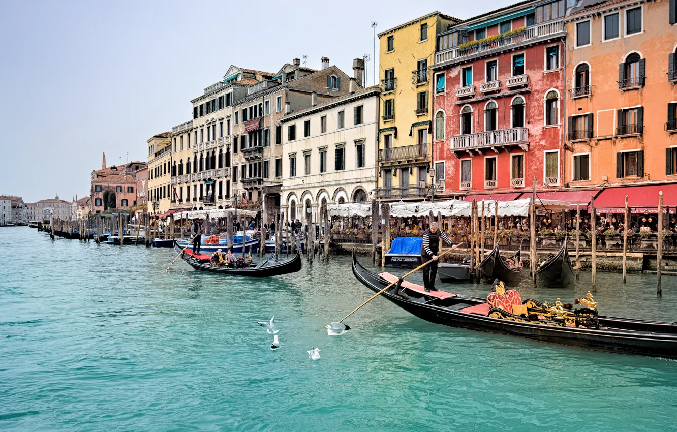 Фото обои Италия, Венеция, Italy, Venice, Italia, Venezia, Gondolas, Гондолы