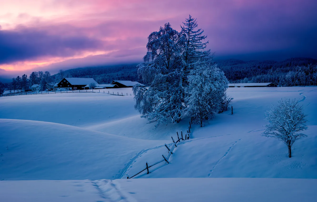 Фото обои зима, деревья, пейзаж, природа, дома, утро, деревня, Норвегия, изгородь