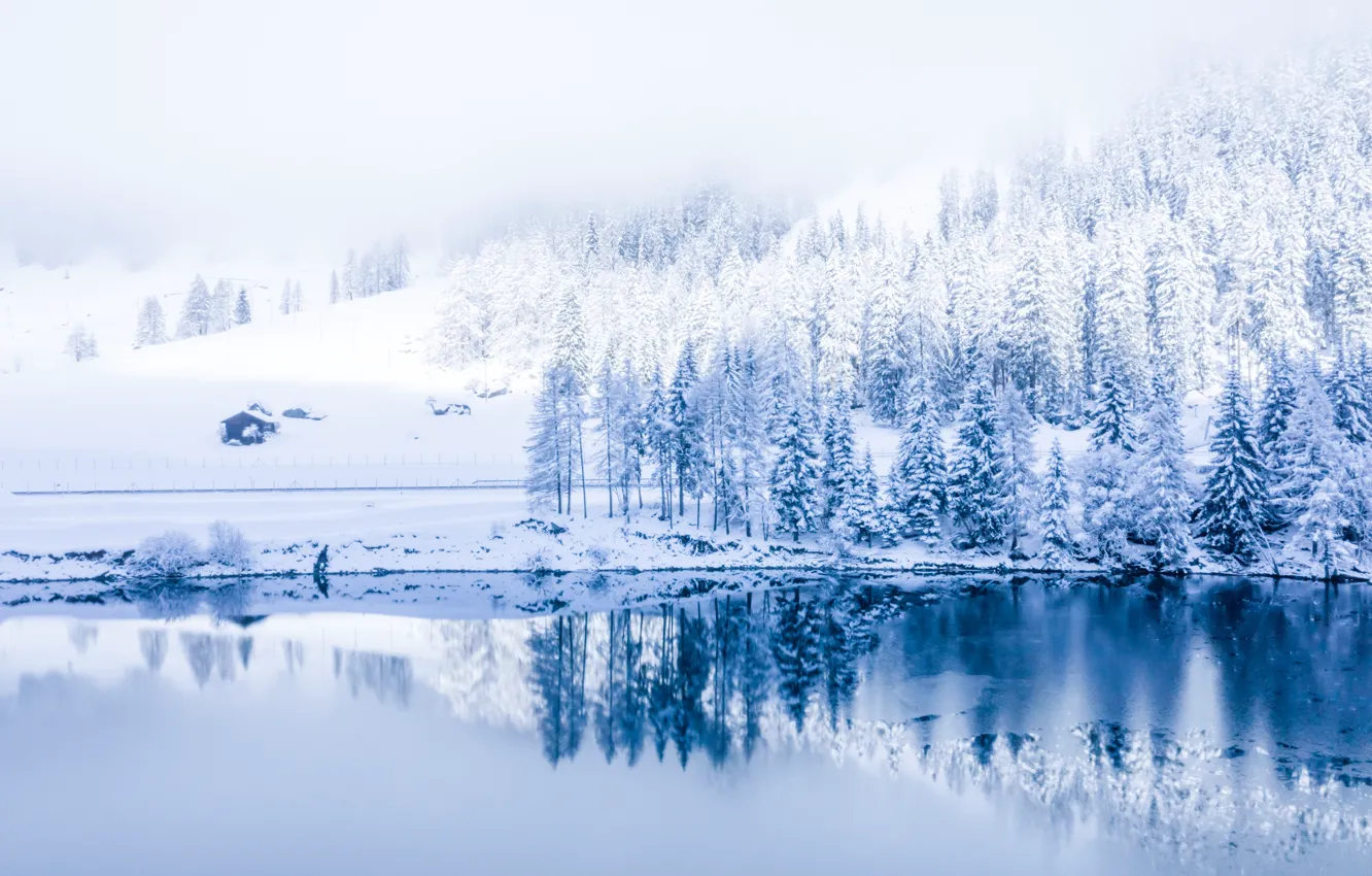Фото обои зима, снег, деревья, пейзаж, горы, река, елки, forest, river, landscape, winter, mountains, snow, fir trees