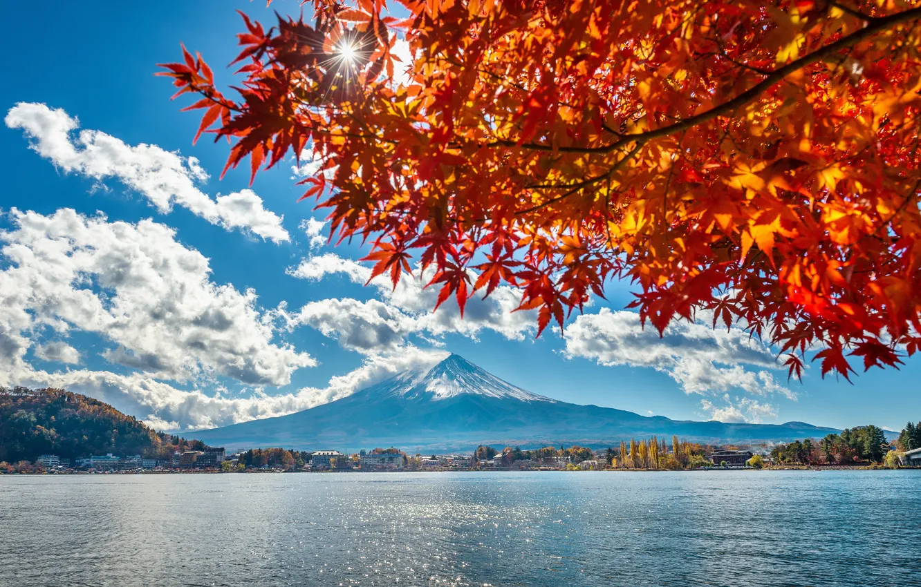 Фото обои осень, листья, озеро, Япония, Japan, гора Фуджи, landscape, autumn, mountain, lake, leaves, Fuji