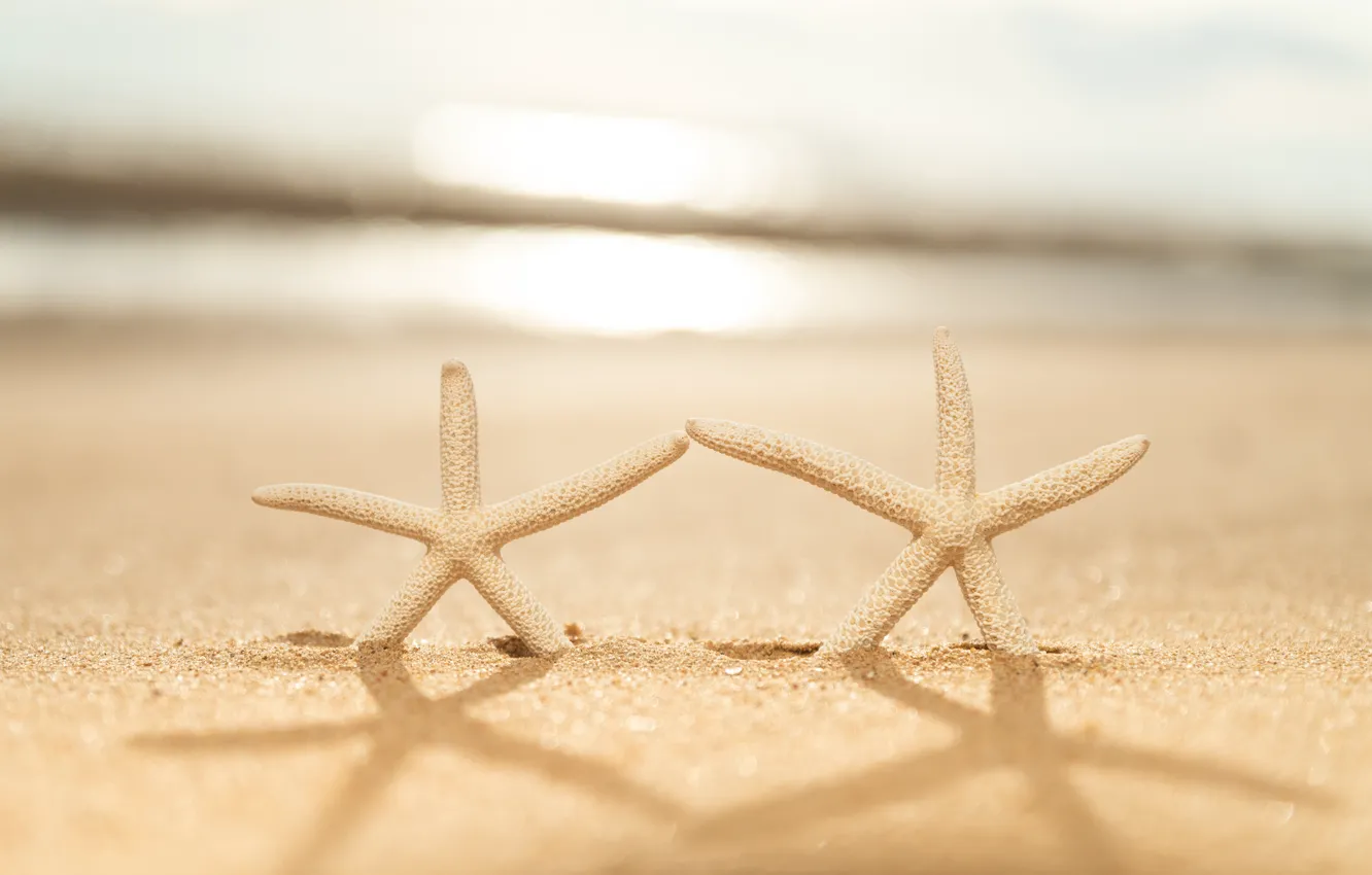 Фото обои песок, море, волны, пляж, лето, берег, звезда, summer, beach, sea, sand, marine, starfish