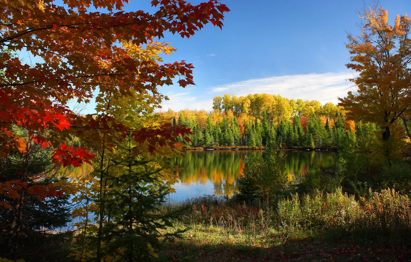 Фото обои осень, лес, небо, озеро, фото