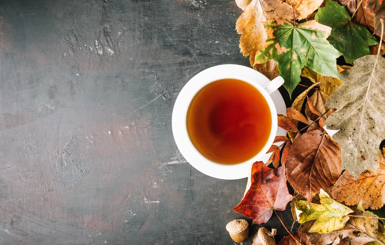 Фото обои осень, листья, colorful, wood, autumn, leaves, cup, осенние, tea, maple, чашка чая