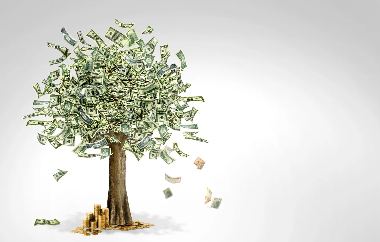 Фото обои дерево, деньги, валюта