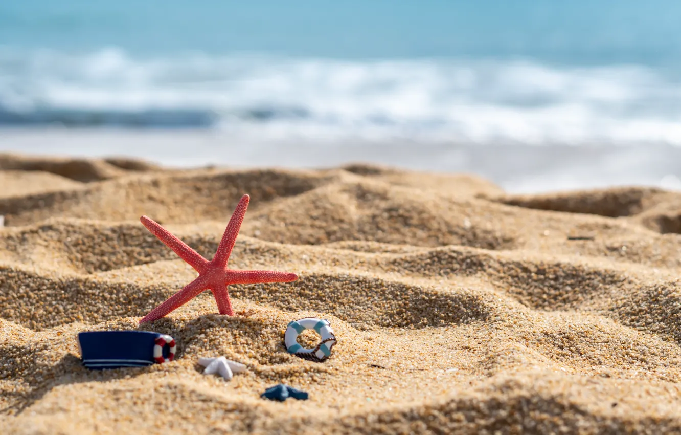 Фото обои песок, море, волны, пляж, лето, берег, звезда, ракушки, summer, beach, sea, sand, marine, starfish, seashells
